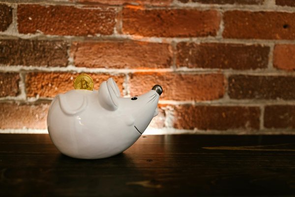 Maximizing Opportunities: A Guide to Utilizing Local Government Resources for Property Development in the UK